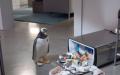 Пингвины мистера Поппера кадры из фильма